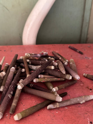 SanDahlia schelpen Zeeegel pennen stekels zakje 500 gram Zeeegel pennen stekels zakje 500 gram