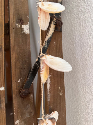 SanDahlia schelpen Schelpenhanger met kleine witte schelpen Schelpenhanger met kleine witte schelpen