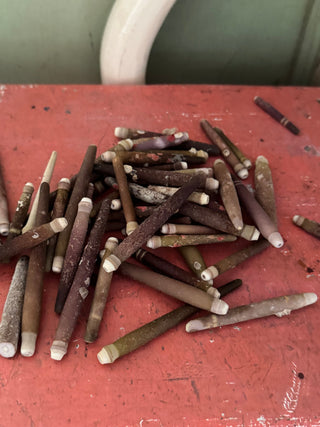 SanDahlia schelpen Zeeegel pennen stekels zakje 500 gram Zeeegel pennen stekels zakje 500 gram