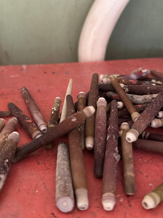 SanDahlia schelpen Zeeegel pennen stekels zakje 500 gram Zeeegel pennen stekels zakje 500 gram