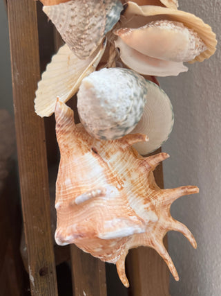 SanDahlia schelpen Schelpenhanger met gemengde schelpen XL Schelpenhanger met gemengde schelpen XL