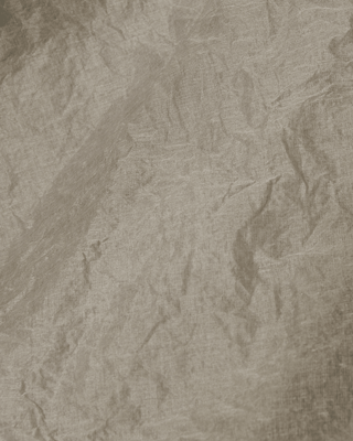 SanDahlia Röcke Ewa i Walla Tine Rok Hard Voile 22209 AW23 Pearl