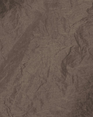 SanDahlia Röcke Ewa i Walla Tine Rok Hard Voile 22209 AW23 Walnut