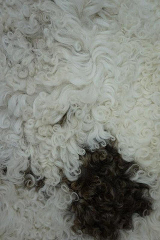 SanDahlia vachten & textiel Schapenvacht krul creme