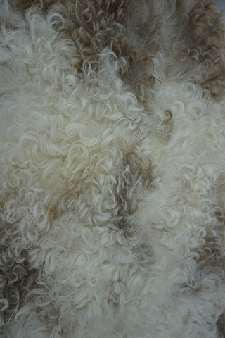 SanDahlia vachten & textiel Schapenvacht  / Lamsvacht krul Schapenvacht  / Lamsvacht krul van Buren in creme