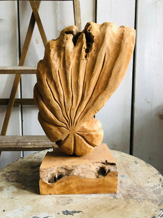 SanDahlia beelden Houten schelp op voet