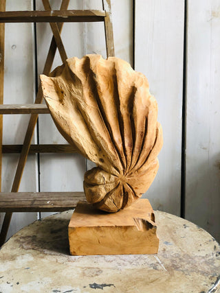 SanDahlia beelden Houten schelp op voet