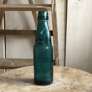 SanDahlia interieur binnen Vintage bierfles groen