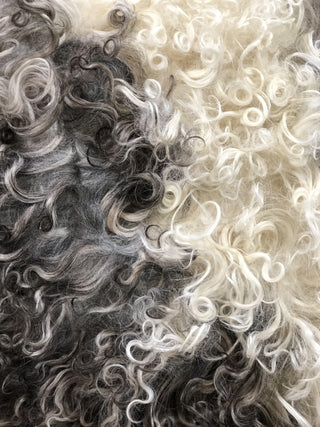 SanDahlia vachten & textiel Kussen van schapenvacht krul