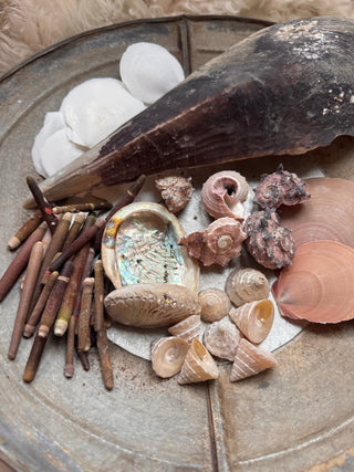 SanDahlia schelpen Schelpen mix Schelpen mix