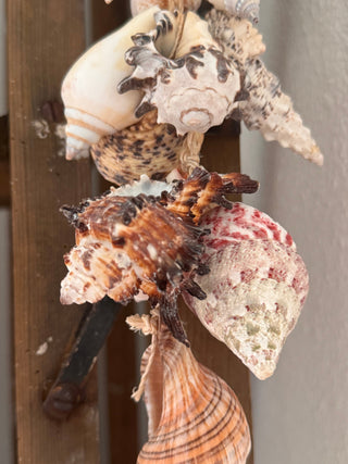 SanDahlia schelpen Schelpenhanger met gemengde schelpen M Schelpenhanger met gemengde schelpen M