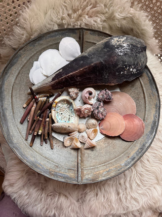 SanDahlia schelpen Schelpen mix Schelpen mix