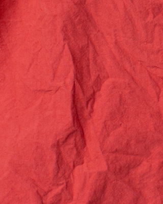 SanDahlia Rok Ewa i Walla rok cotton Alvy 22307 SS26 rose Ewa i Walla rok cotton Alvy 22307 SS26 rose